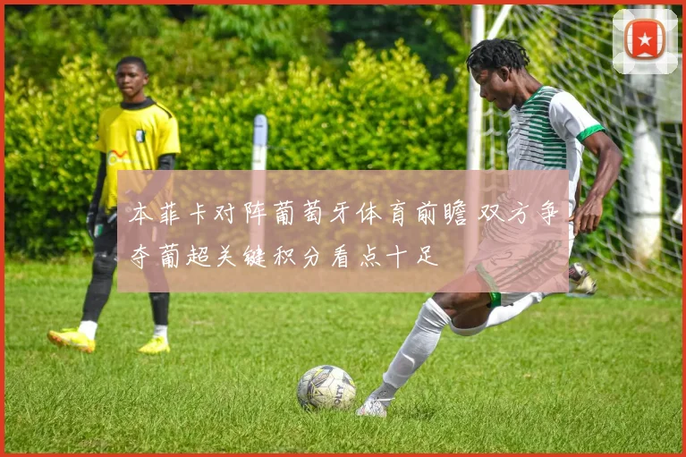 本菲卡对阵葡萄牙体育前瞻 双方争夺葡超关键积分看点十足