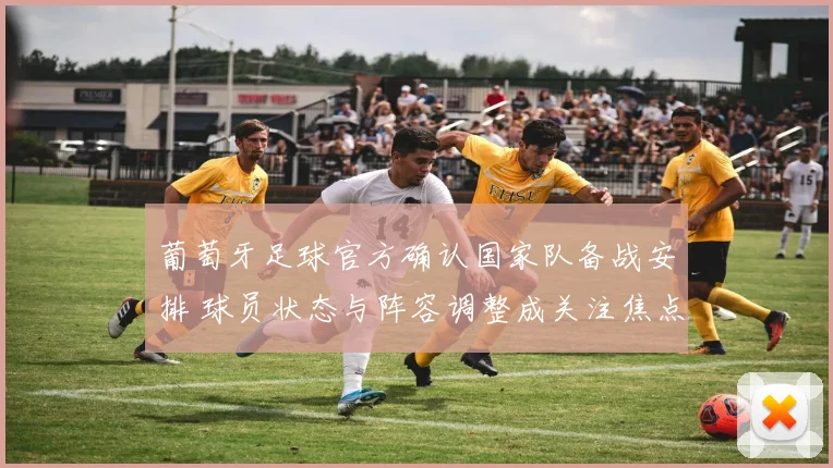 葡萄牙足球官方确认国家队备战安排 球员状态与阵容调整成关注焦点
